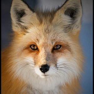 Meet your Posher, Katrina